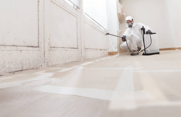 24/7 Emergency Mold Remediation experts in Springfield, NJ