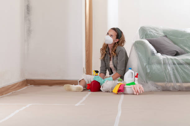 Reliable Mold Remediation contractor in Springfield, NJ by 24 Hour Mold Removal